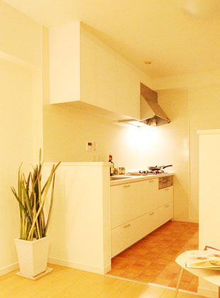 キッチンリフォーム Ⅱ型