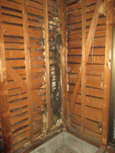 壁の内側で雨漏りが進行してしまっている状態