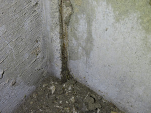 蟻道を壊した写真